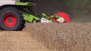 Зърнопроизводители в Русе поискаха предоговаряне на условията на Зелената сделка