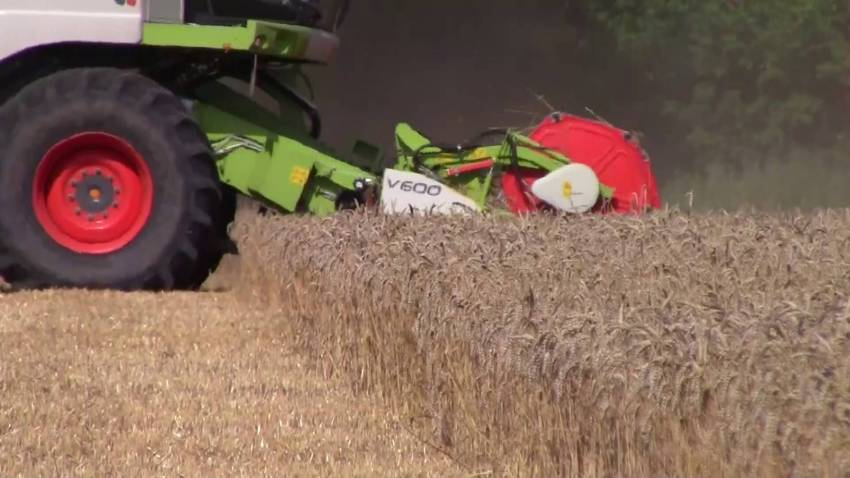Зърнопроизводители в Русе поискаха предоговаряне на условията на Зелената сделка