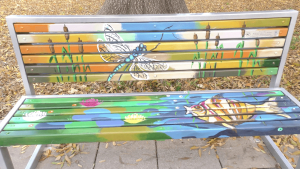 ВИДЕО: Нови арт пейки радват жителите и гостите на Търговище