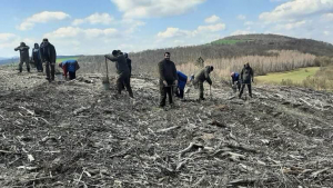 577 декара нови гори ще бъдат залесени в района на Омуртаг