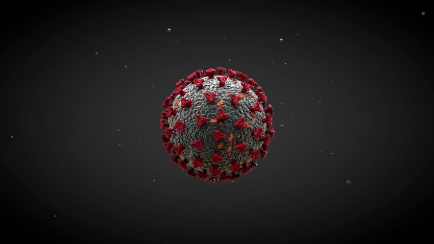 Ден без починали с COVID-19 в областите Разград и Търговище