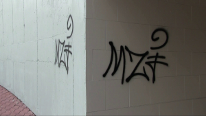 Вандалите в Русе "струват" на данъкоплатеца над 100 000 лева годишно /ВИДЕО/