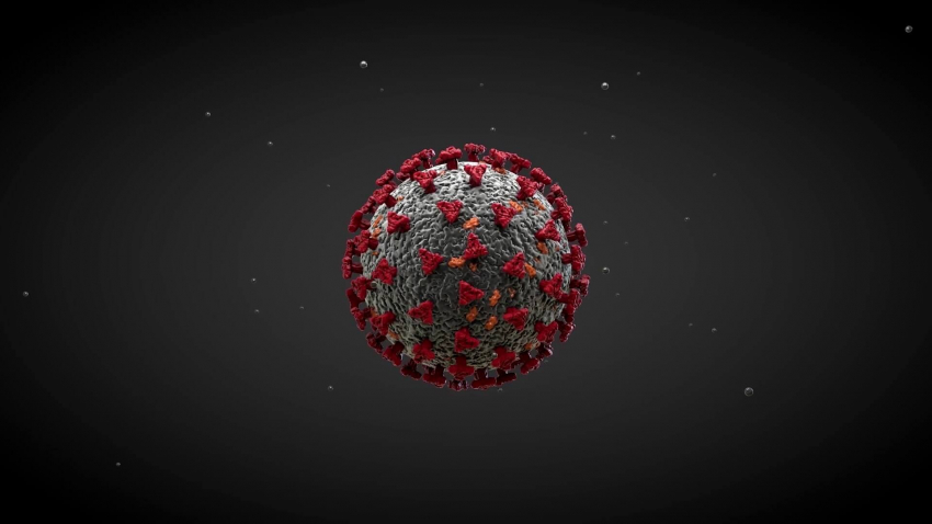 Общо 78 нови случая на COVID-19 установиха в областите Разград и Търговище