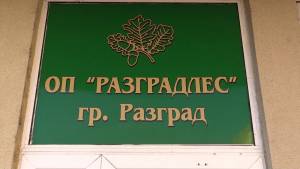 Предлагат Община Разград да предостави дървесина от своя фонд на общински структури и социални групи