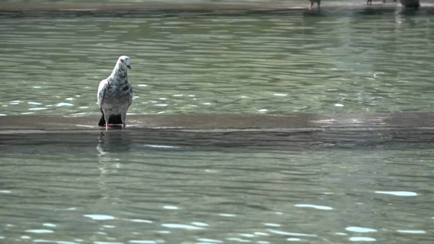 Предстои опасно горещо време! БЧК - Русе дава важни съвети, за да не пострадаме при жегите
