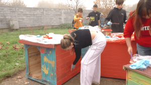 Деца боядисваха къщички за кучетата в общинския приют в Търговище