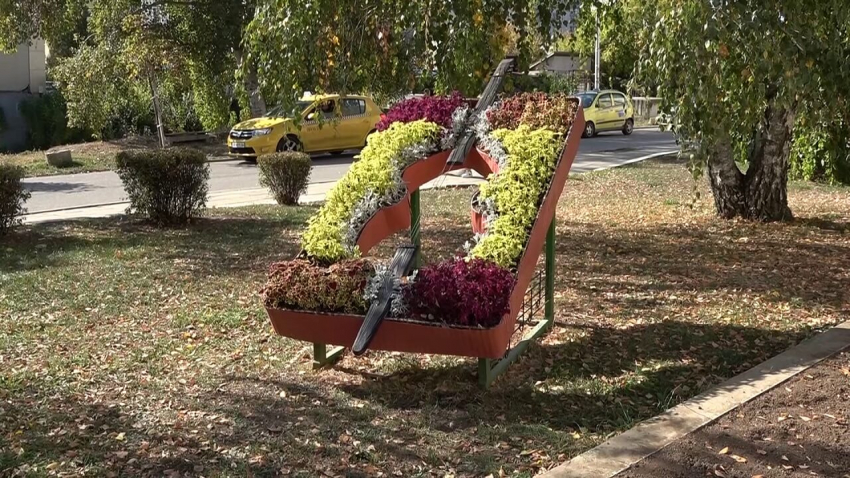 Започна есенното зацветяване на Разград