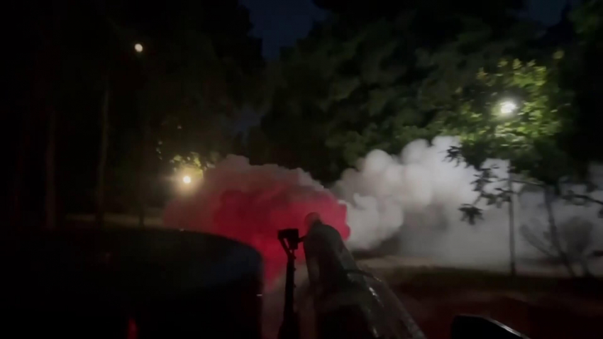 Властите в Русе вземат спешни мерки за овладяване на ситуацията с комарите