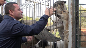 Пенчо Милков посети приюта за животни в Русе и разговаря с доброволците