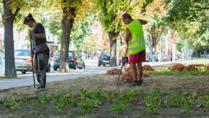 Задачата е поверена на служителите на ДЗЗД &quot;Паркстрой&quot;