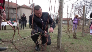 В русенското село Сандрово зарязаха лозите