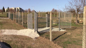 До няколко седмици в Разград отваря нова площадка за свободно пуснати кучета