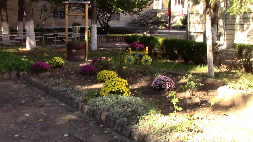 Определиха победителите в десетия конкурс &quot;Да на красотата&quot; в Разград