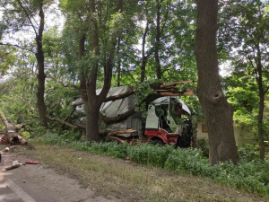 ТИР помете крайпътни дървета на Русе - Бяла /ВИДЕО и СНИМКИ/