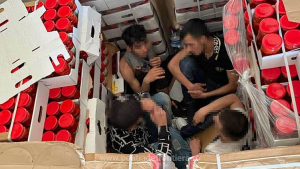 Румънските гранични власти отново хванаха нелегални мигранти на границата при Русе