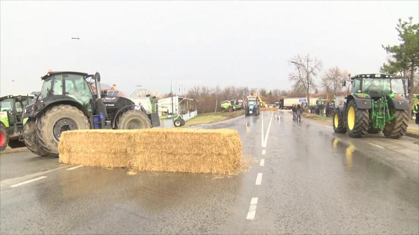 ВИДЕО: Животновъди блокираха пътя Русе - Велико Търново и изляха 16 тона мляко