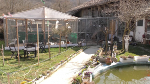 Как стопани от поповско село са превърнали дома си в своеобразен зоопарк