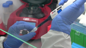 Лаборатория в Русе приема всеки ден по над 100 искания за изследване на антела срещу COVID-19