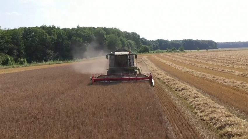 Проф. Ениманев: До няколко месеца в България може да има продоволствена криза