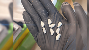 Задържаха шестима при спецоперация срещу наркоразпространението в Русе