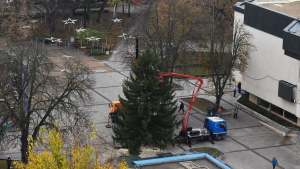 Поставиха коледната елха в центъра на Разград